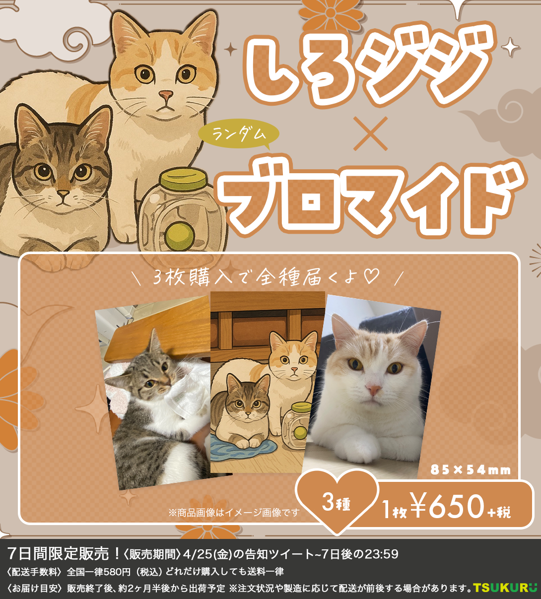 【しろジジ】ブロマイド ランダム 3種