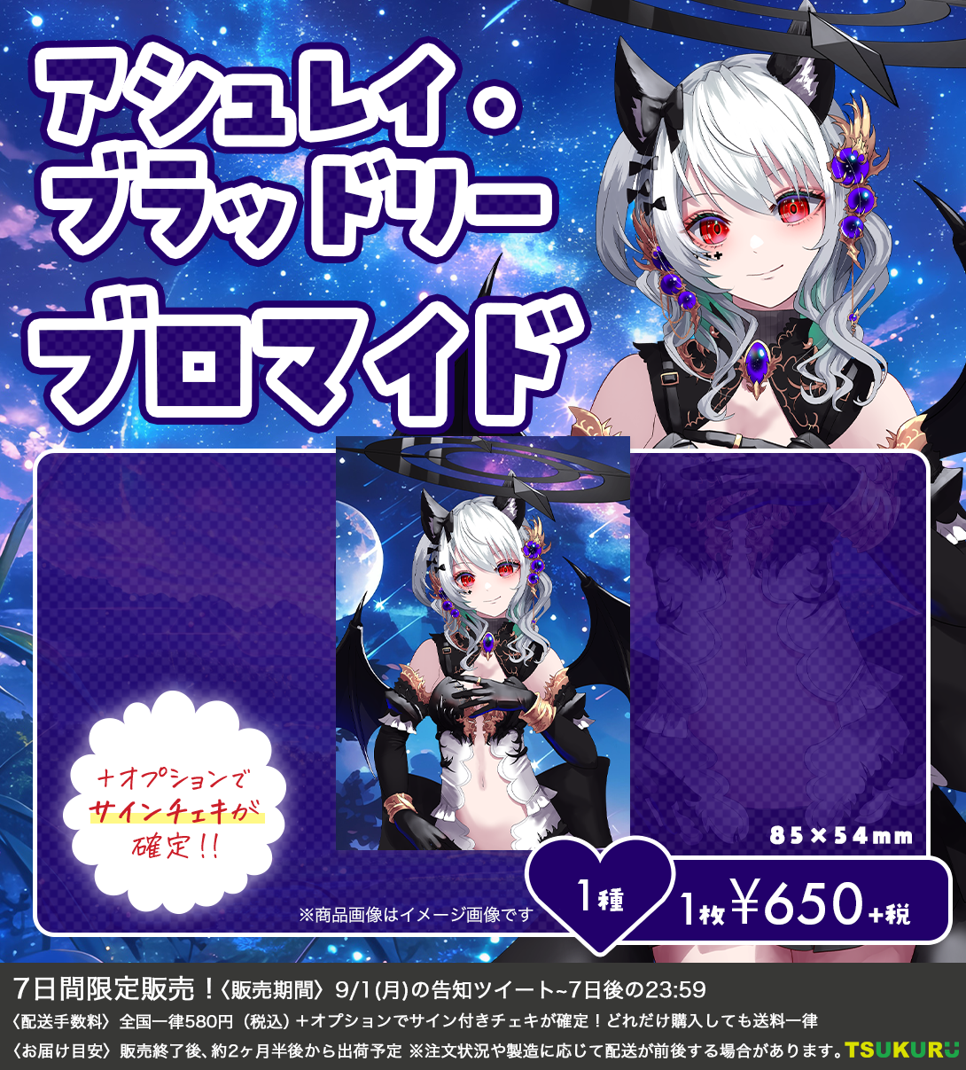 【アシュレイ・ブラッドリー】ブロマイド 1種