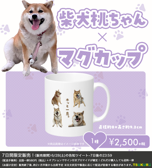 【柴犬　桃ちゃん】マグカップ 1種