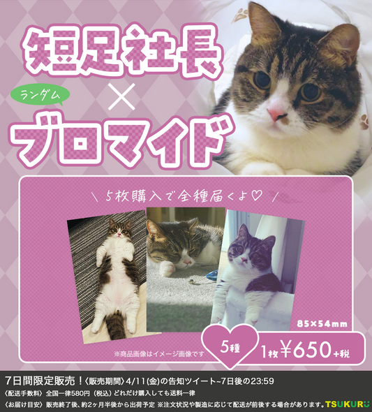 【短足社長】ブロマイド ランダム 5種