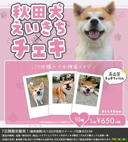 【秋田犬えいきち】チェキ ランダム 10種