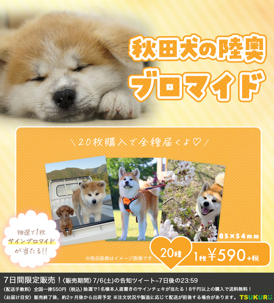 【秋田犬の陸奥】ブロマイド ランダム 20種