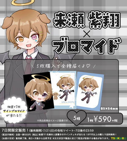 【来瀬紫翔】ブロマイド ランダム 5種